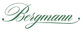 bergmann_logo_mini