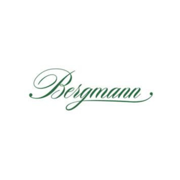 vállalatirányítási rendszer könyvelő vállalatoknak - Bergmann